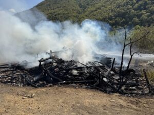 KARABÜK (AA) – Karabük'ün Safranbolu ilçesinde evde çıkıp ormana sıçrayan