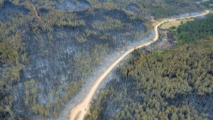 KARABÜK (AA) – Karabük'ün Eflani ile merkez ilçelerinde çıkan ve