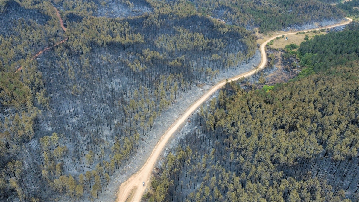 Karabük'te orman yangınlarında zarar gören alanlar havadan görüntülendi
