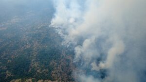 KARABÜK (AA) – Karabük'te ormanlık alanda çıkan yangını söndürmek için