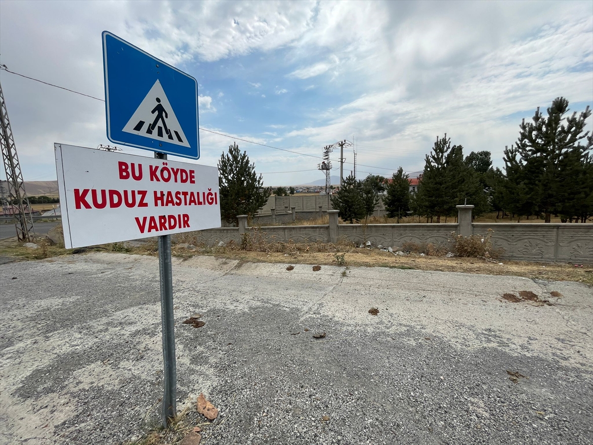 Kars'ta tilkiyle boğuşan köpek telef olunca belde kuduz karantinasına alındı