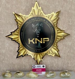 KARS (AA) – Kars'ta yolcu otobüsünde uyuşturucuyla yakalanan zanlı tutuklandı.