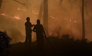ANTALYA (AA) – Antalya'nın Kaş ilçesinde ormanlık alanda çıkan yangın