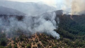 KASTAMONU (AA) – Kastamonu-Karabük sınırındaki 2 orman yangınını söndürme çalışmaları