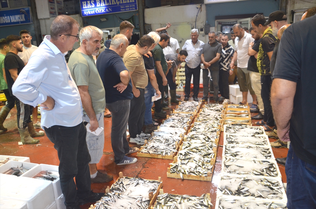 Kocaeli'de yeni sezonun ilk balık mezadı yapıldı