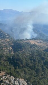 MUĞLA (AA) – Muğla'nın Köyceğiz ilçesinde çıkan orman yangınına, havadan