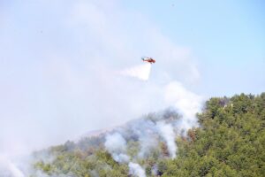 MUĞLA (AA) – Muğla'nın Köyceğiz ilçesinde çıkan orman yangınına müdahale