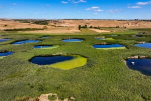 EDİRNE (AA) – Şiddetli kuraklık nedeniyle pek çok su kaynağının
