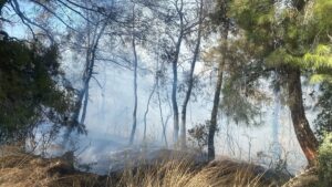 ANTALYA (AA) – Antalya'nın Manavgat ilçesinde tarım arazisinde başlayıp ormanlık