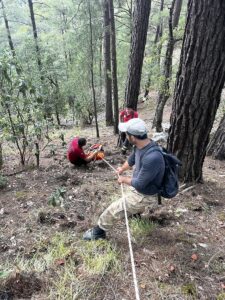 MERSİN (AA) – Mersin'in Çamlıyayla ilçesinde doğa yürüyüşü yaparken kayalıklardan