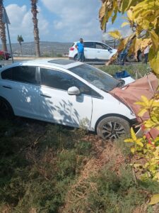 MERSİN (AA) – Mersin'in Silifke ilçesinde bahçede zeytin toplayan işçilere