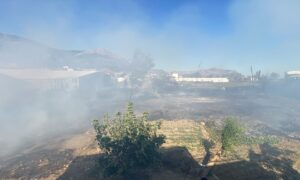 MERSİN (AA) – Mersin'in Bozyazı ilçesinde elektrik telinin kopması sonucu