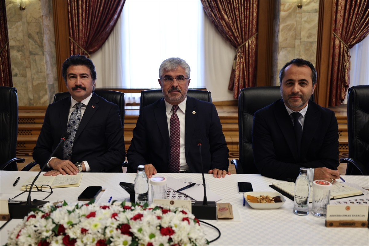 Milli Dayanışma, Kardeşlik ve Demokrasi Komisyonu toplandı (1)