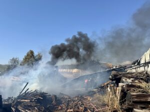 MUĞLA (AA) – Muğla'nın Seydikemer ilçesinde kereste deposu çıkan yangında