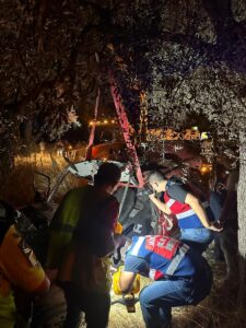 MUĞLA (AA) – Muğla'nın Milas ilçesinde otomobilin şarampole devrilerek ağaca