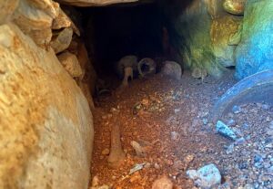 MUĞLA (AA) – Muğla'nın Menteşe ilçesinde, su deposu çalışması sırasında