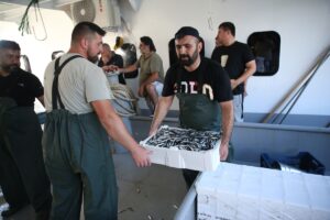 ORDU (AA) – Ordu'da balıkçıların kasaları hamsiyle doldu taştı. Karadeniz'de