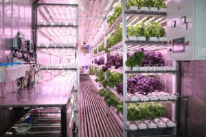 - OYAK'a bağlı şirketler, yenilikçi uygulamalarını ve ürünlerini festivalde ziyaretçilerle