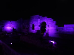 DÜZCE (AA) – Düzce'deki Prusias ad Hypium Antik Kenti, "Halk