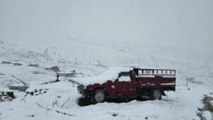 RİZE (AA) – Rize'nin yüksek kesimlerinde kar etkili oldu. Kentte,