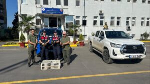 - İki şüpheliye 64 bin lira ceza uygulandı