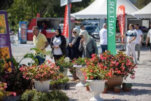 - Sapanca'da 20 ülkeden 181 firmanın katıldığı fuarda, iç ve