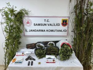 SAMSUN (AA) – Samsun'un Salıpazarı ilçesinde evinde 9 kilo 660