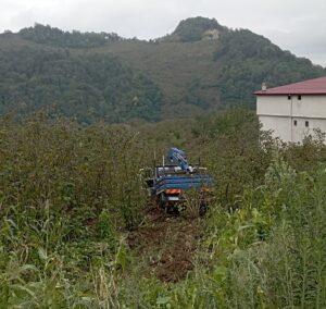 SAMSUN (AA) – Samsun’un Salıpazarı ilçesinde kamyonetin fındık bahçesine yuvarlanması