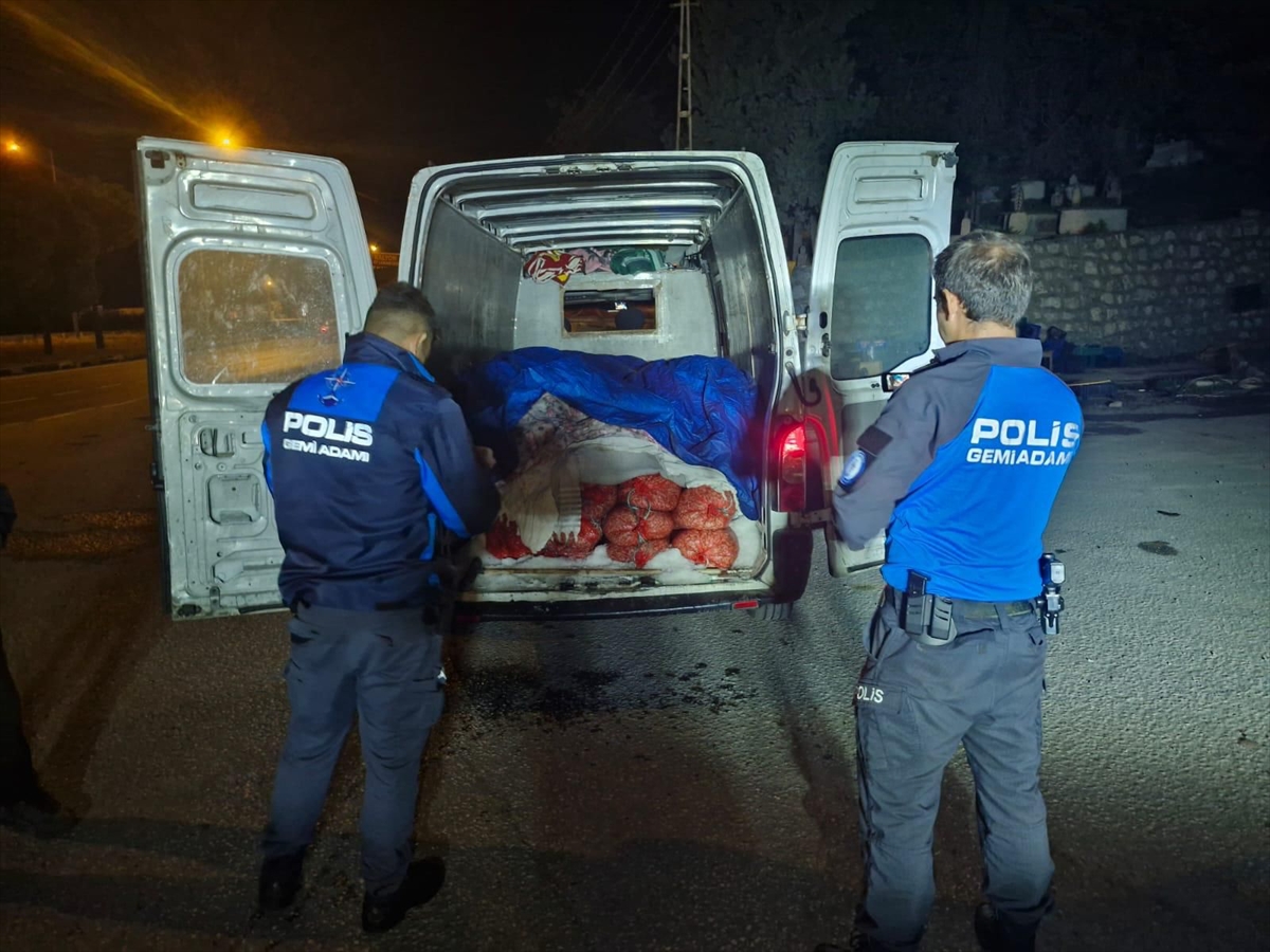 Samsun'da kaçak avlanan 5 ton midye ele geçirildi