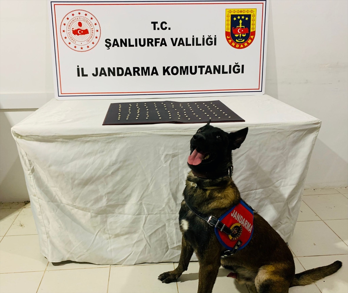 Şanlıurfa'da uyuşturucu ve silah kaçakçılığı operasyonunda 42 şüpheli yakalandı