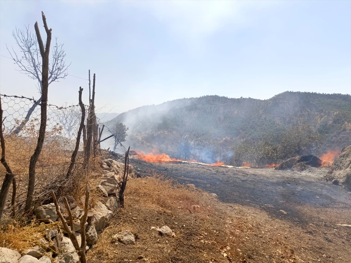 Şırnak'ta çıkan yangında ahır ve samanlıkta hasar oluştu