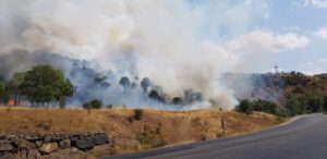 SİVAS (AA) – Sivas'ın Zara ilçesinde ağaçlık alanda çıkan yangını