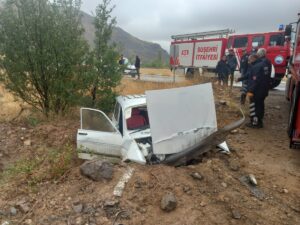 SİVAS (AA) – Sivas'ın Koyulhisar ilçesinde otomobilin şarampole devrilmesi sonucu