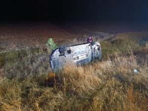 SİVAS (AA) – Sivas'ın Şarkışla ilçesinde otomobilin şarampole devrilmesi sonucu