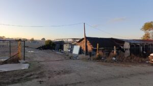 TEKİRDAĞ (AA)- Tekirdağ’ın Çerkezköy ilçesinde barakada çıkan yangında bir kadın