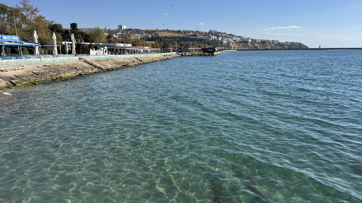 Tekirdağ'da deniz ulaşımı normale döndü