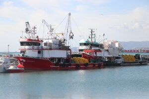 TEKİRDAĞ (AA) – Marmara Denizi'nde 2 gündür etkili olan poyraz,