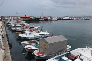 TEKİRDAĞ (AA) – Marmara Denizi'nde 3 gündür etkisini gösteren poyraz,