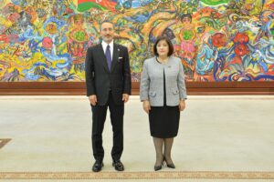 BAKÜ (AA) – Türkiye İnsan Hakları ve Eşitlik Kurumu (TİHEK)