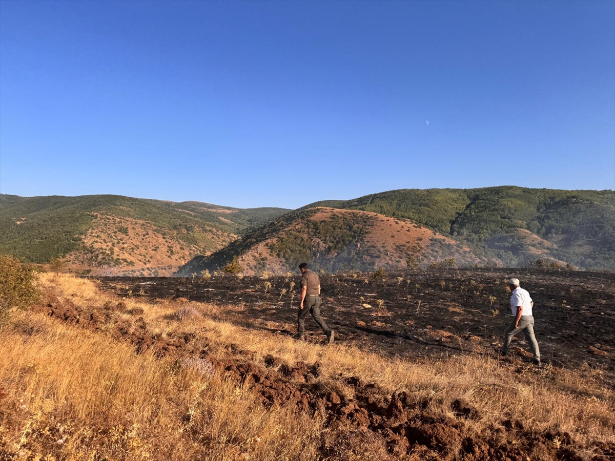 Tokat'ta çıkan orman yangınında 2 hektarlık alan zarar gördü