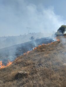 TOKAT (AA) – Tokat'ın Artova ilçesinde makilik alanda çıkan yangın