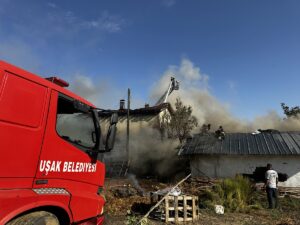 UŞAK (AA) – Uşak'ta otluk alanda çıkan yangında, 2 katlı