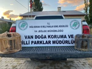 VAN (AA) – Van'da kaçak avladığı kekliklerle yakalanan bir kişiye