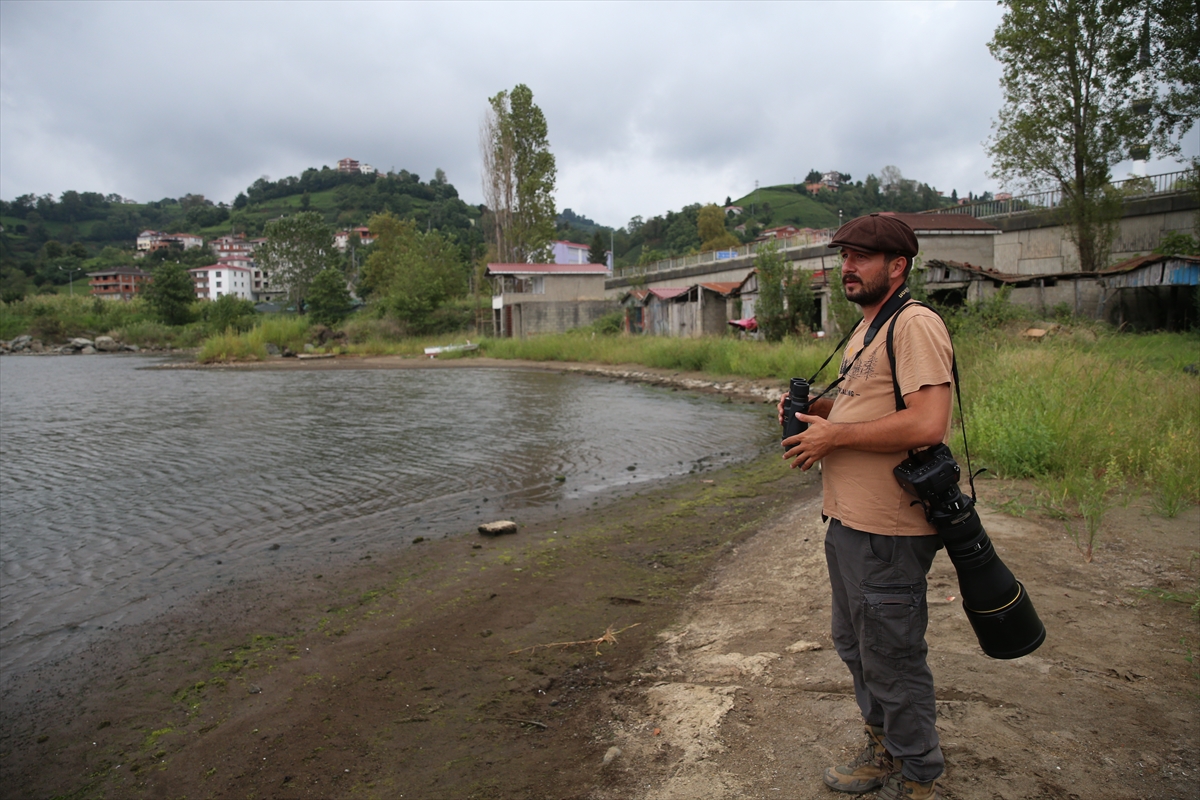 Yaban hayatı fotoğrafçısı Alper Tüydeş, Karadeniz'de 172 kuş türü fotoğrafladı