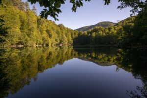 BOLU (AA) – Sonbahar renklerine bürünen Bolu'daki Yedigöller Milli Parkı,