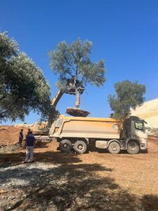 İSTANBUL (AA) – Yeniköy Kemerköy Elektrik Üretim ve Ticaret AŞ'nin