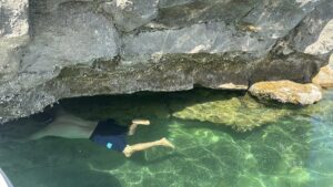 ADIYAMAN (AA) – Adıyaman'ın Kahta ilçesinde Atatürk Barajı kıyısında balıkçılar