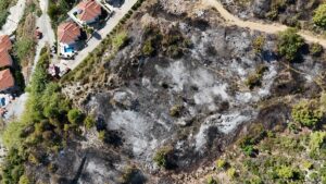 ANTALYA (AA) – Antalya'nın Alanya ilçesinde, villalar bölgesine yakın ağaçlık