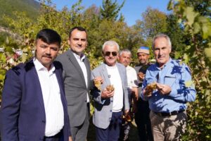 ANTALYA (AA) – Antalya'nın Finike ilçesinde "2. Yazır Üzümü Şenliği"