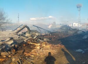 ARDAHAN (AA) – Ardahan'da ahırda çıkan yangında 15'i küçük, 23